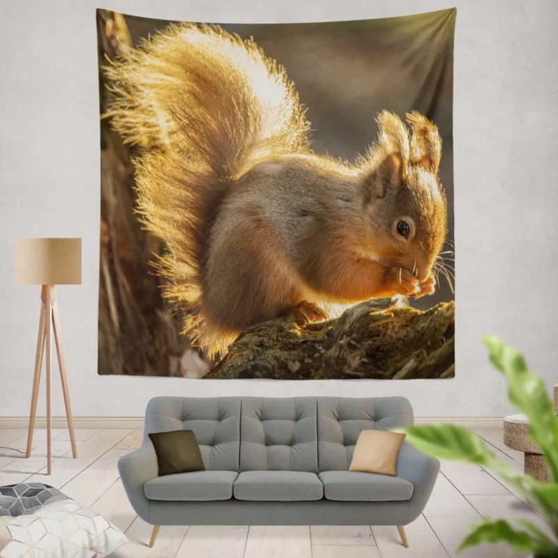 Squirrel Sunny Rodent Adventure Wall Hanging Tapestry