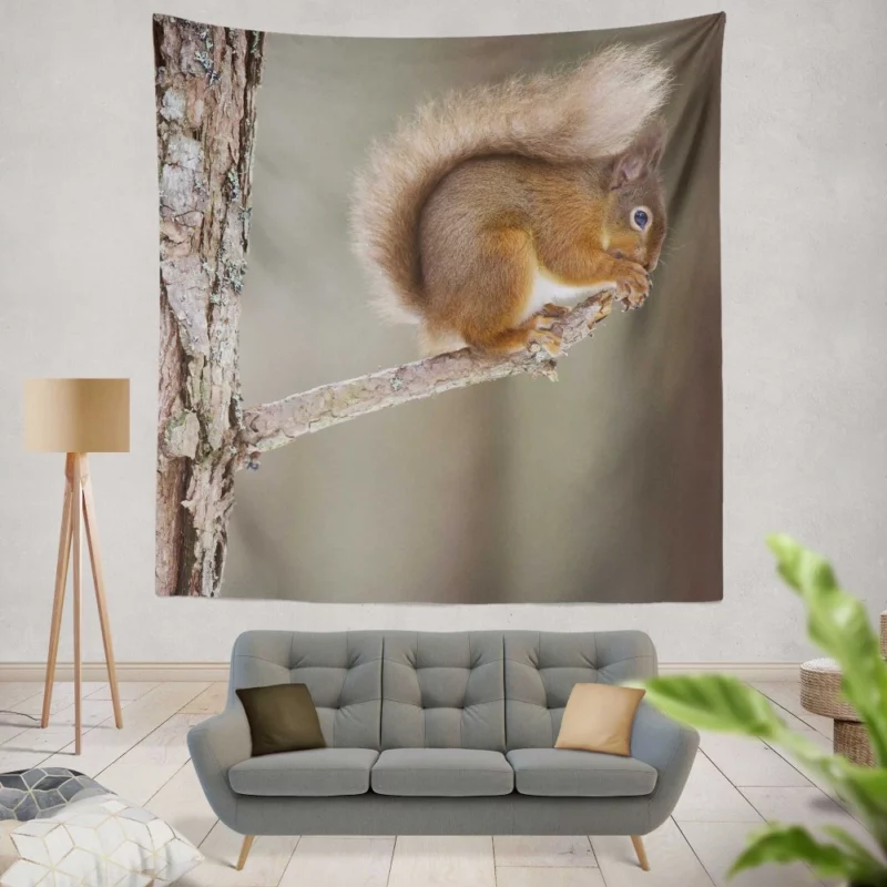 Squirrel Whiskers Curious Charm Wall Hanging Tapestry