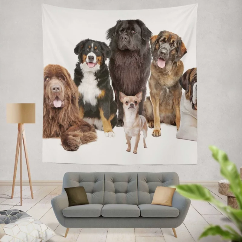 St Bernard Sennenhund & Chihuahua Wall Hanging Tapestry