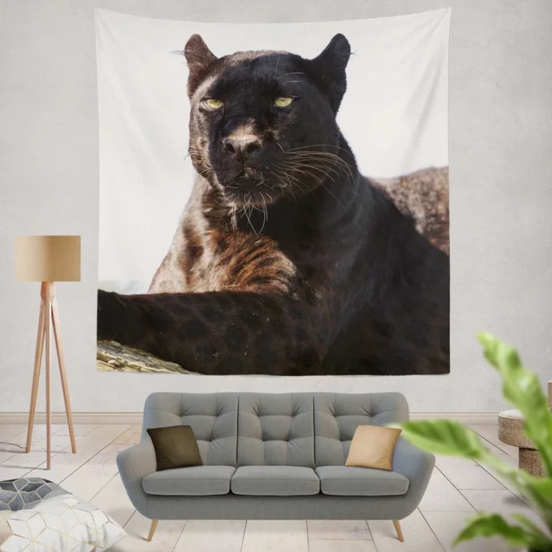 Stealthy Elegance Black Panther Grace Wall Hanging Tapestry