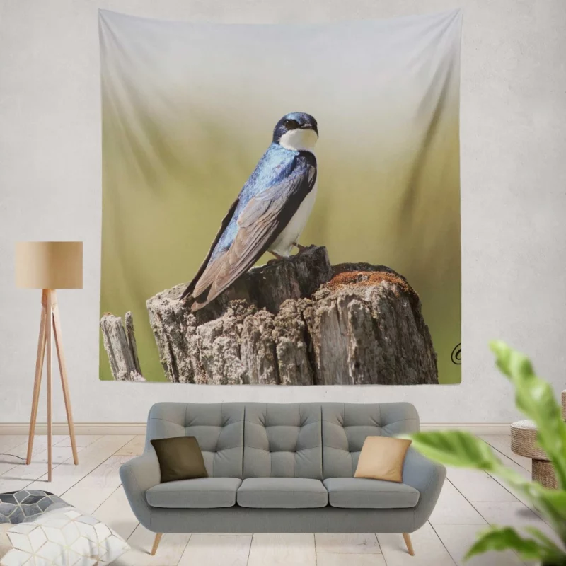 Swallow First Flight Wings Unfurled Wall Hanging Tapestry