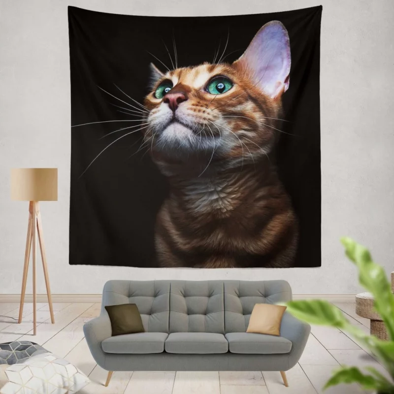 Sweet Kitten Innocent Play Furry Joy Wall Hanging Tapestry