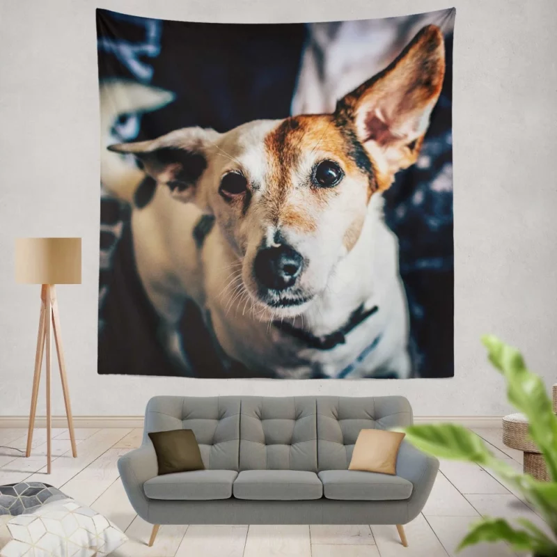 Terrier Muzzle in Focus Canine Grace Wall Hanging Tapestry