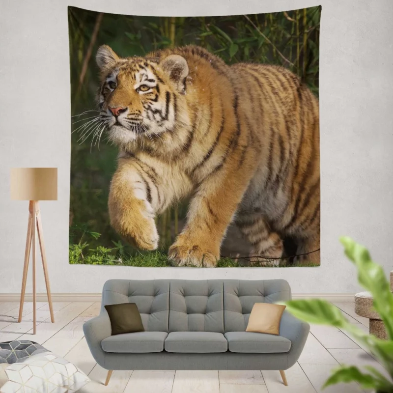 Tiger Enigmatic Stare Wilderness Majesty Wall Hanging Tapestry