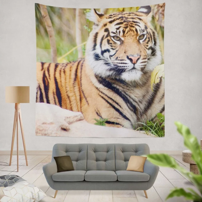 Tiger Fierce Gaze Majestic Intrigue Wall Hanging Tapestry