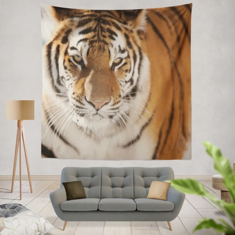 Tiger Intense Focus Wall Hanging Tapestry