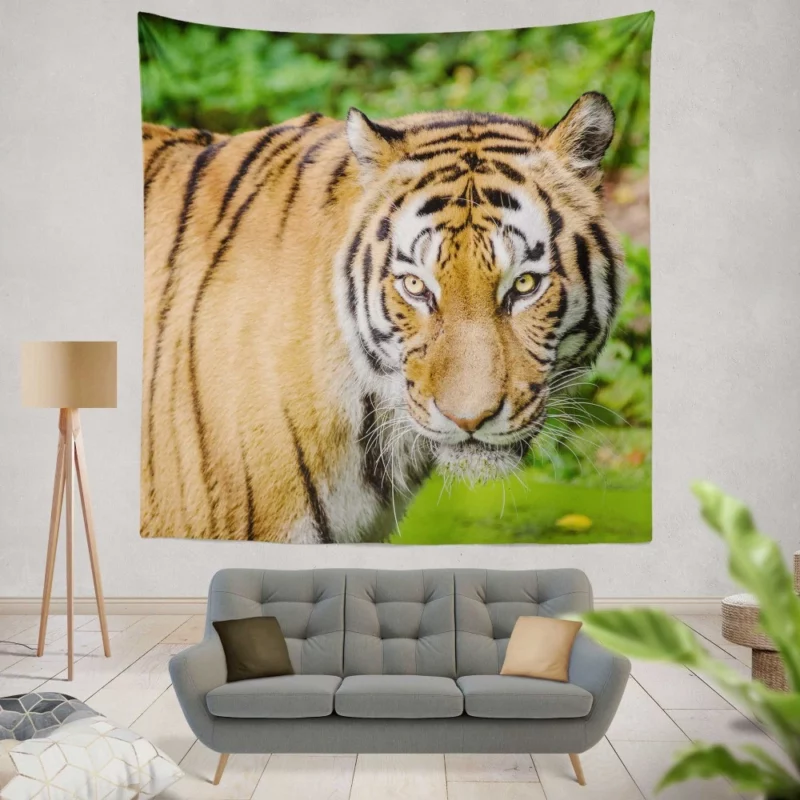 Tiger Intense Gaze Fierce Intrigue Wall Hanging Tapestry