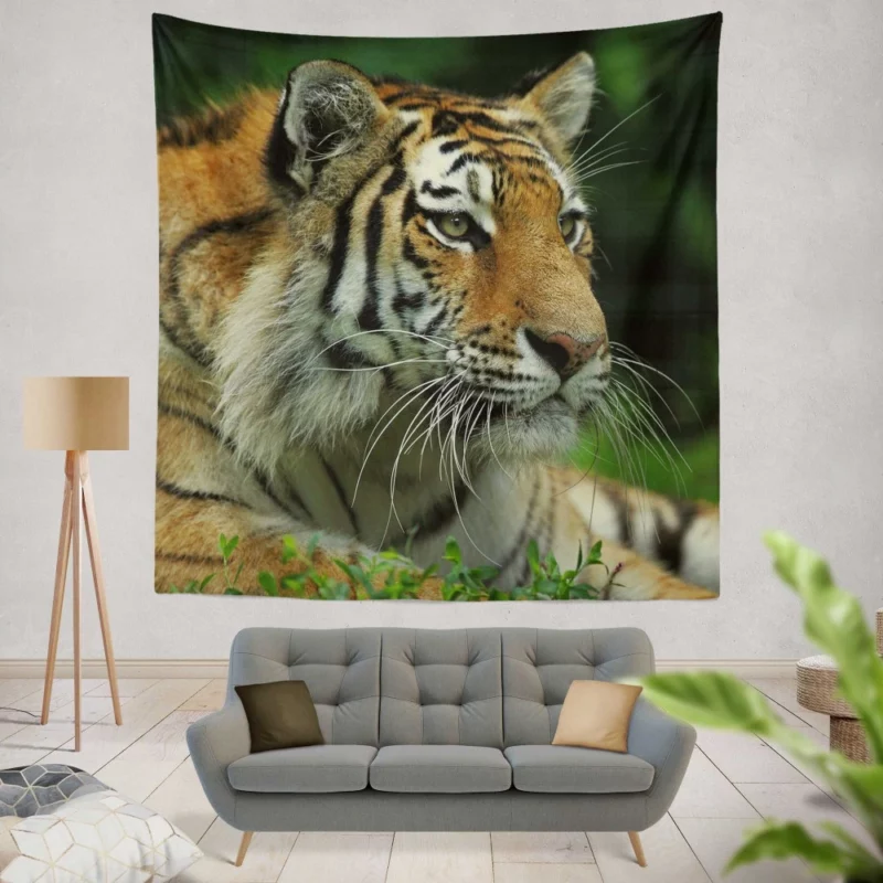 Tiger Intense Gaze Wilderness Power Wall Hanging Tapestry