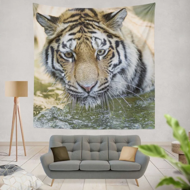 Tiger Intense Muzzle Wilderness Gaze Wall Hanging Tapestry