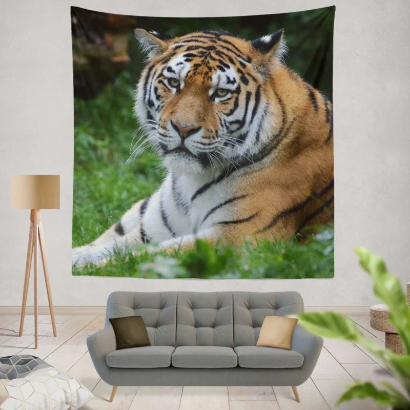 Tiger Intense Stare Feline Majesty Wall Hanging Tapestry