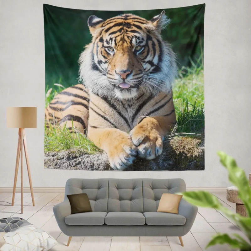 Tiger Penetrating Gaze Enigmatic Beauty Wall Hanging Tapestry