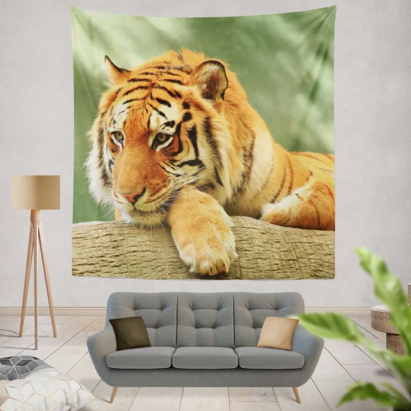 Tiger Rest A Moment of Tranquility Wall Hanging Tapestry