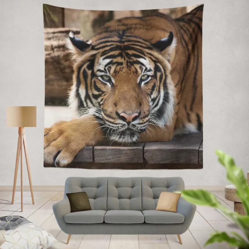 Tiger Savage Wall Hanging Tapestry