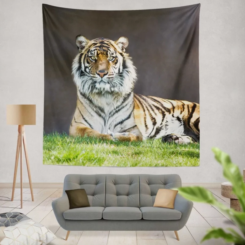 Tiger Stare Wild Animal Wall Hanging Tapestry