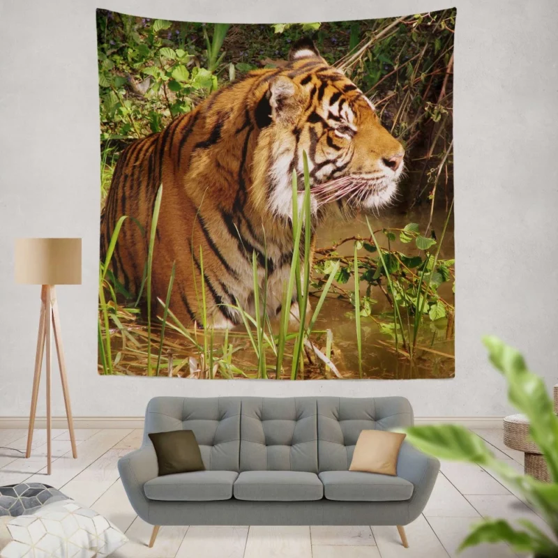 Tiger Striped Magnificence Wall Hanging Tapestry