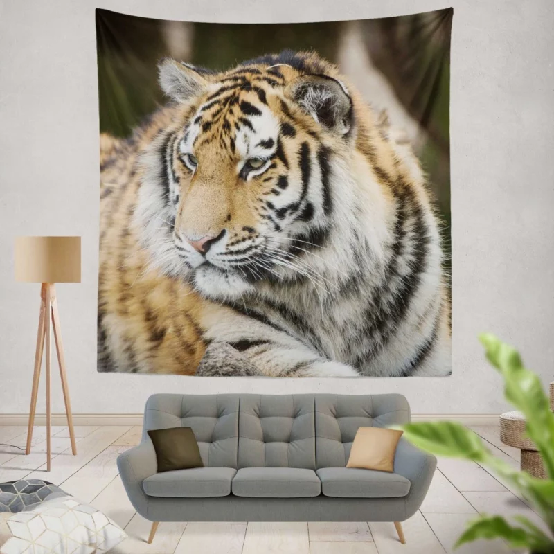 Tigers in the Zoo Guardians of the Wild Wall Hanging Tapestry