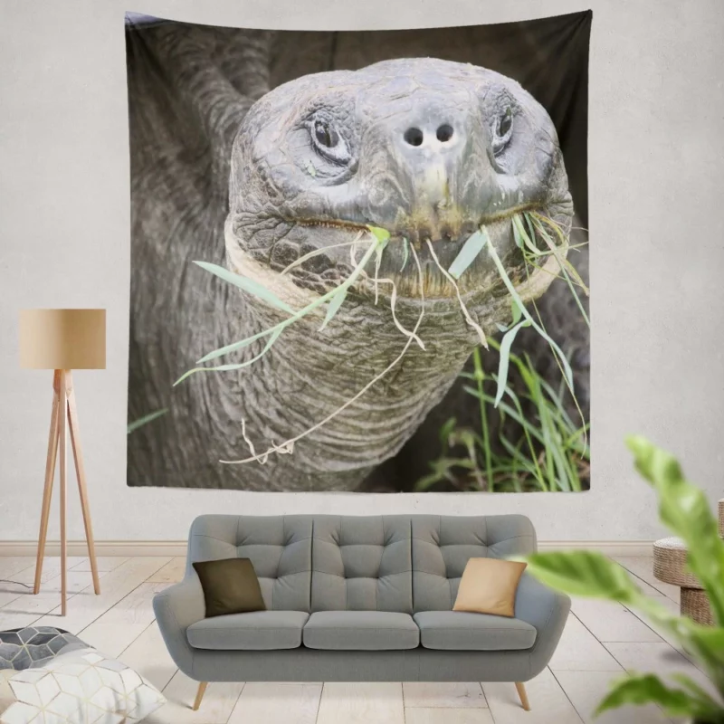 Tortoise Slow Journey Ancient Wisdom Wall Hanging Tapestry