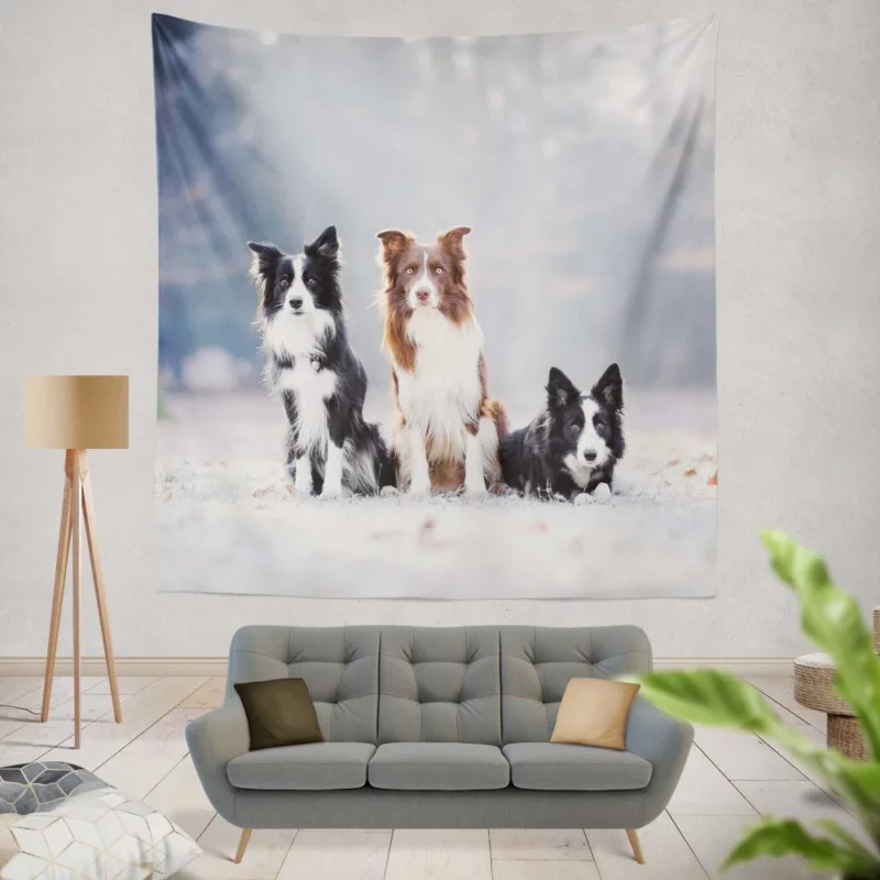 Trio of Agile Border Collies Wall Hanging Tapestry