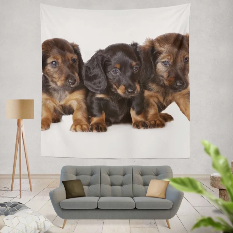 Trio of Dachshund Puppies Playful Trio Wall Hanging Tapestry