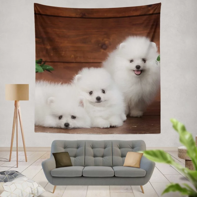 Trio of Pomeranian Puppies Fuzzy Joy Wall Hanging Tapestry