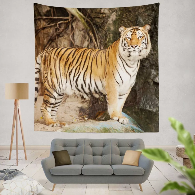 Untamed Vision Tiger Intense Stare Wall Hanging Tapestry