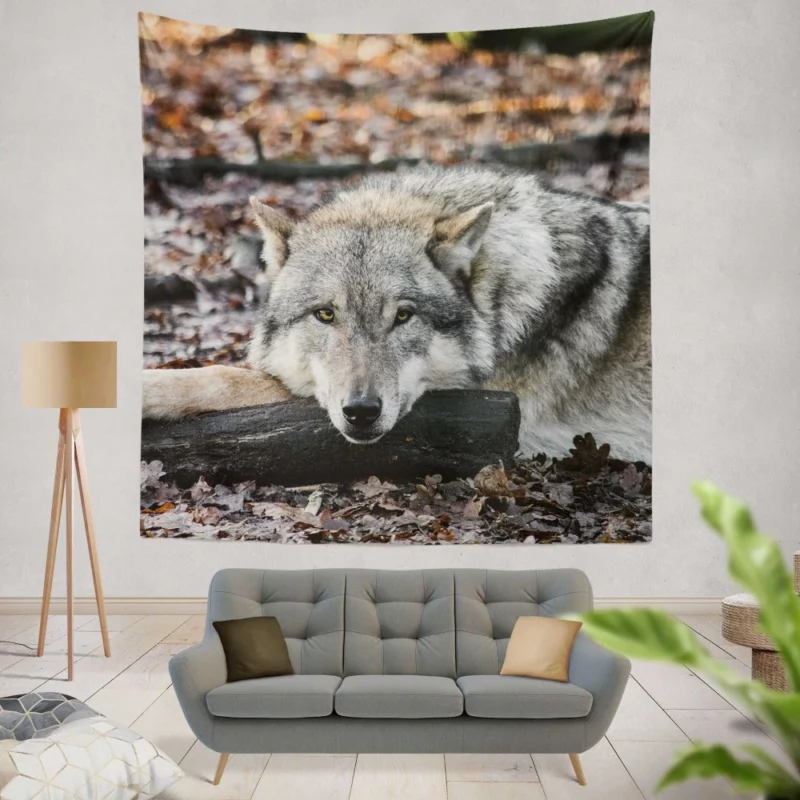 Untamed Wolf Piercing Stare Wilderness Majesty Wall Hanging Tapestry