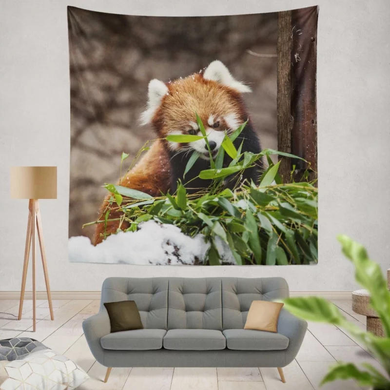 Urban Red Panda Chicago Zoo Wonders Wall Hanging Tapestry