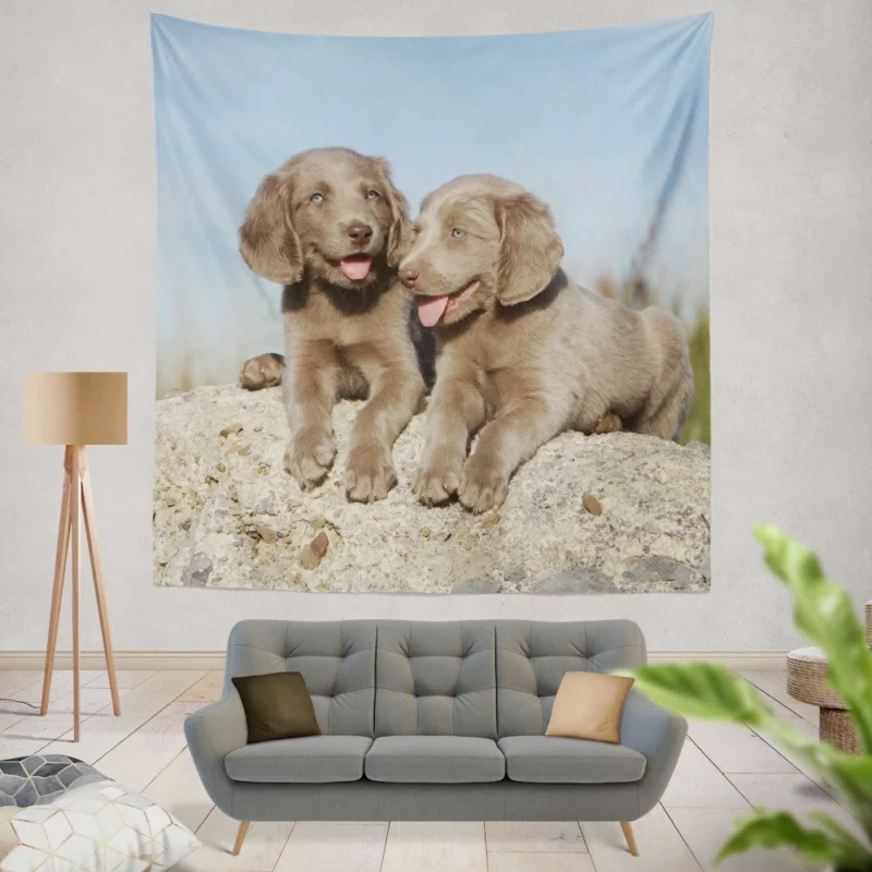 Weimaraner Puppy Eager Companion Wall Hanging Tapestry