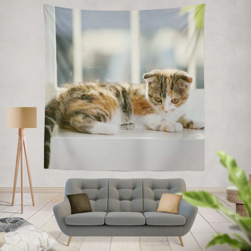 Whisker Charm Cat Playful Antics Wall Hanging Tapestry