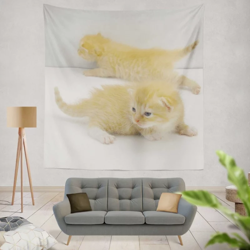 Whisker Curiosity Curious Cat Gaze Wall Hanging Tapestry