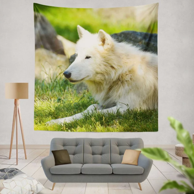 White Wolf Gaze Arctic Majesty Wall Hanging Tapestry