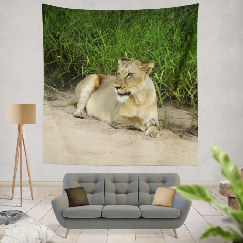 Wilderness Majesty Lion Roaring Rule Wall Hanging Tapestry