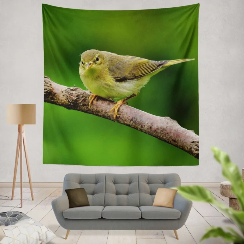 Willow Warbler Tranquil Branch Harmonious Rest Wall Hanging Tapestry