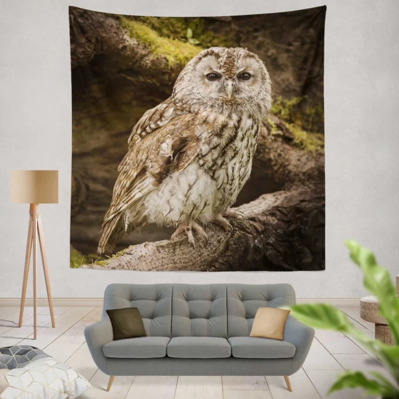 Wise Owl Stare Nocturnal Watch Wall Hanging Tapestry