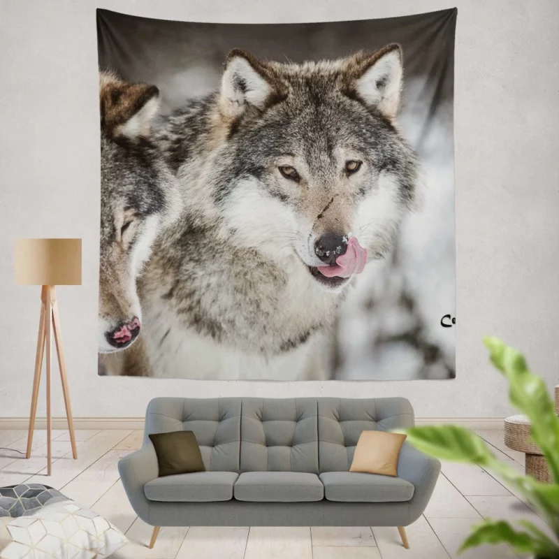 Wolf Close-Up Wilderness Intrigue Wall Hanging Tapestry