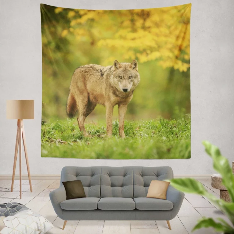 Wolf Enigmatic Gaze in Blur Wall Hanging Tapestry