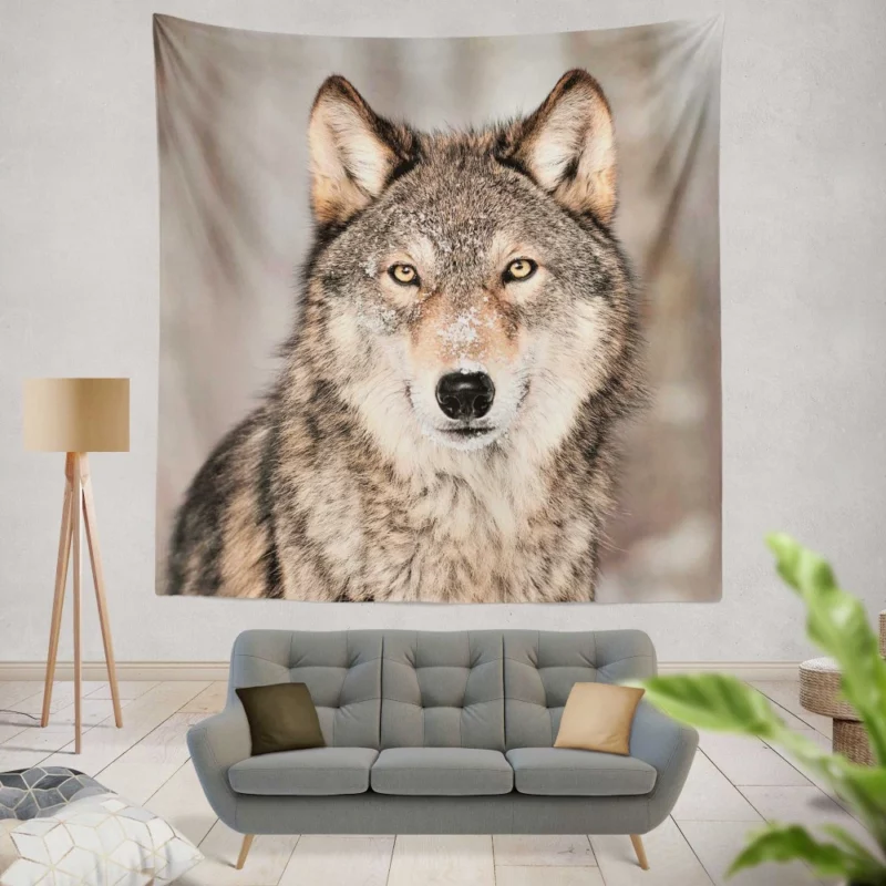 Wolf Fierce Gaze Untamed Wilderness Wall Hanging Tapestry