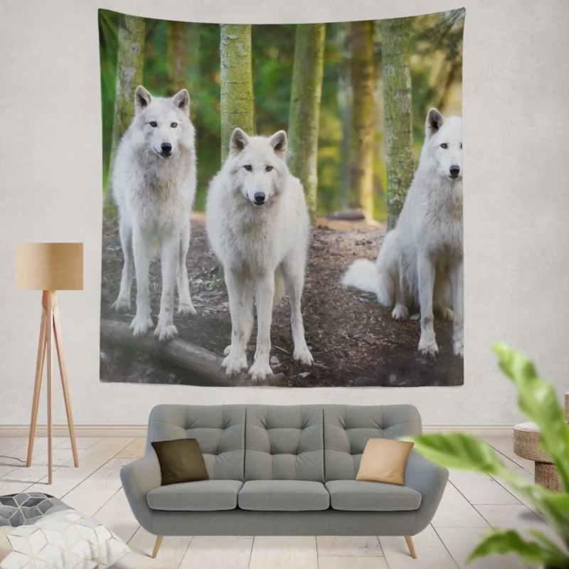 Wolf Gaze Wilderness Majesty Wall Hanging Tapestry