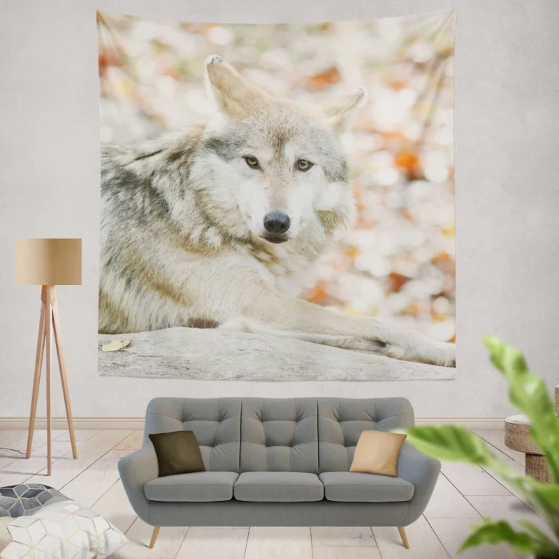 Wolf Haunting Gaze Wall Hanging Tapestry