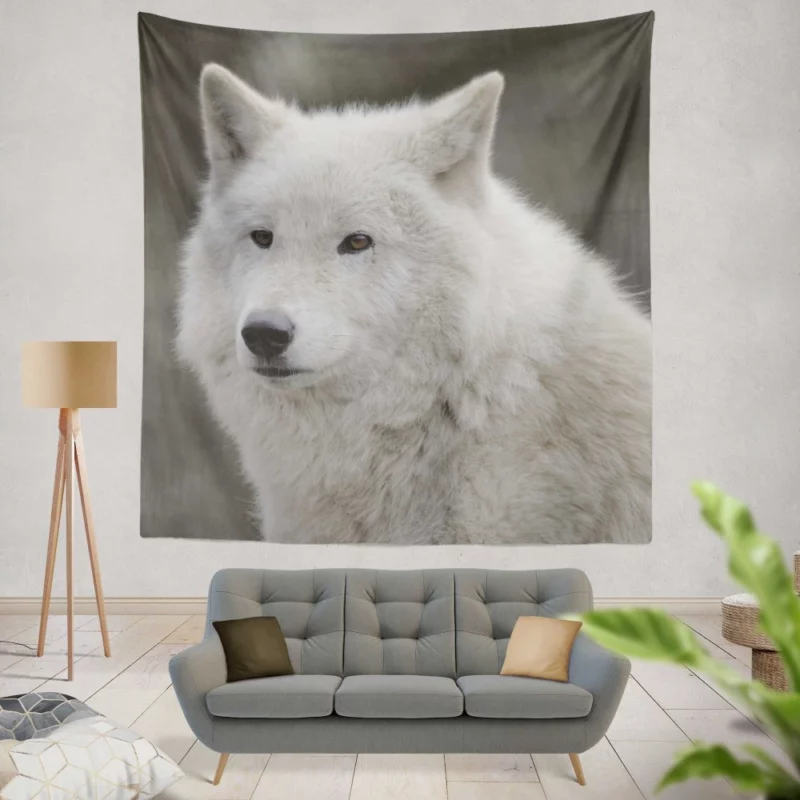 Wolf Intense Gaze Untamed Majesty Wall Hanging Tapestry