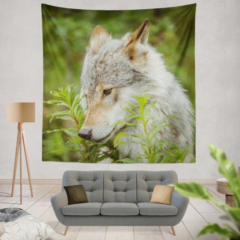 Wolf Intense Stare Captivating Wildness Wall Hanging Tapestry