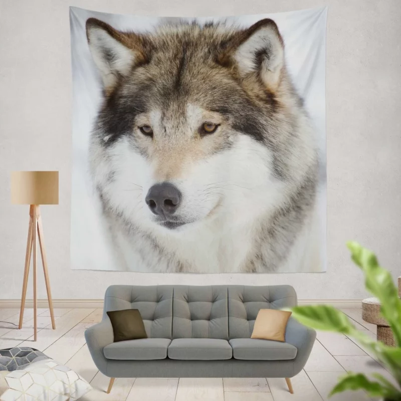 Wolf Intense Stare Enigmatic Gaze Wall Hanging Tapestry