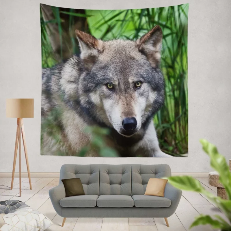 Wolf Intense Stare Wilderness Aura Wall Hanging Tapestry