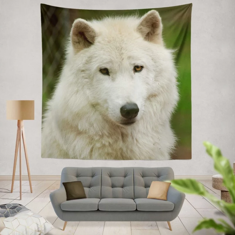 Wolf Penetrating Stare Wall Hanging Tapestry