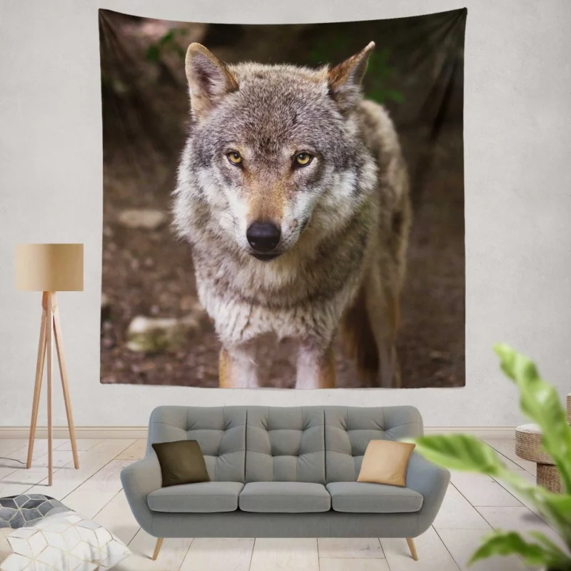 Wolf Stare in Bokeh Untamed Gaze Wall Hanging Tapestry