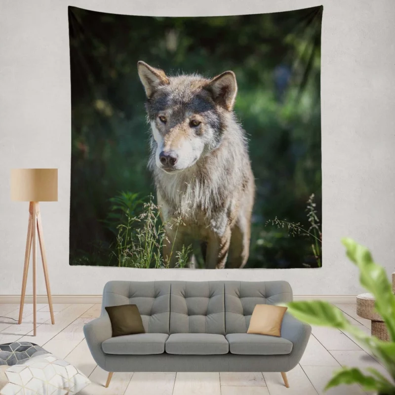 Wolf Untamed Wilderness Stare Wall Hanging Tapestry