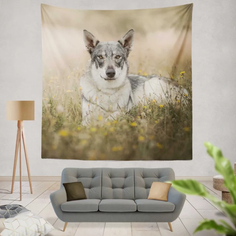 Wolfdog Intense Stare Wilderness Charm Wall Hanging Tapestry