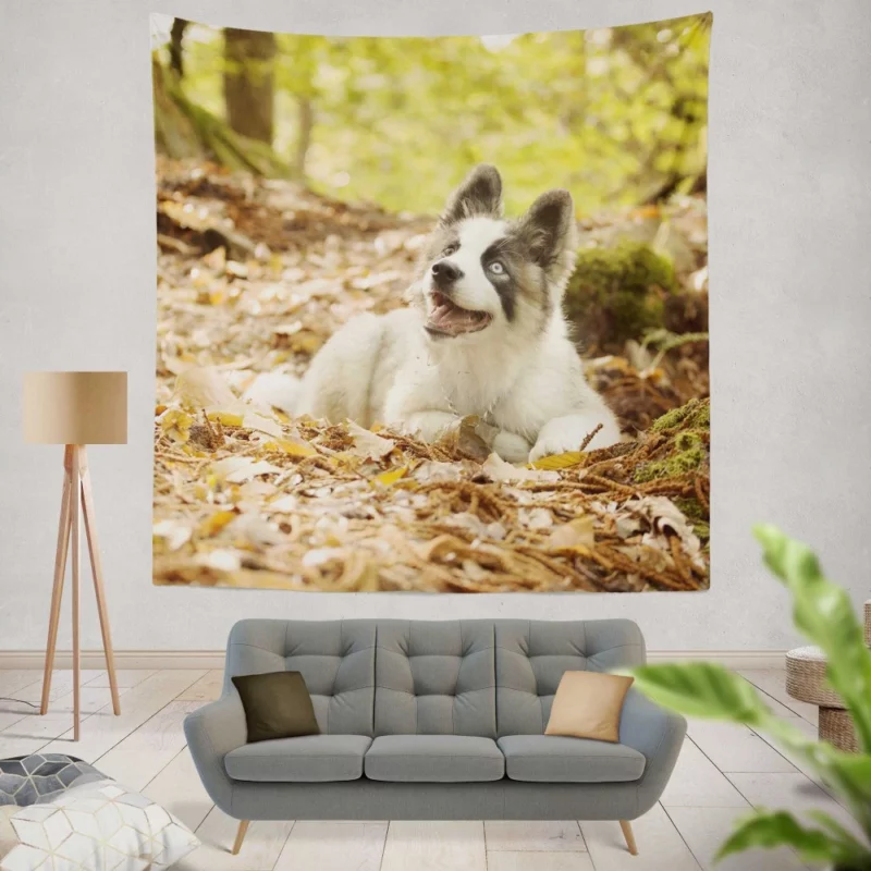 Yakutian Laika Muzzle Moments Canine Grace Wall Hanging Tapestry