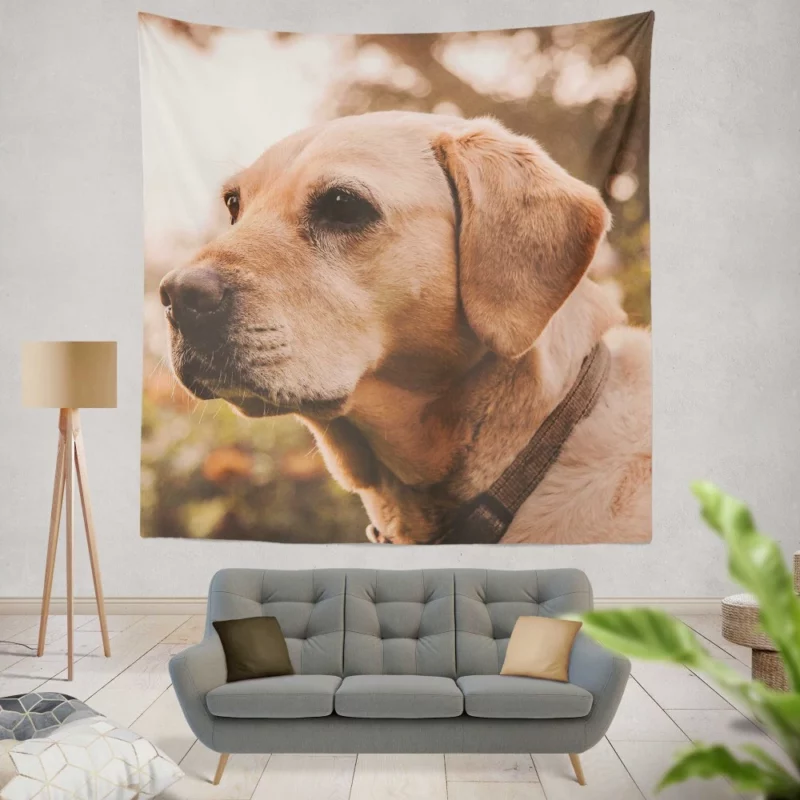 Yellow Labrador Serene Sit Wall Hanging Tapestry