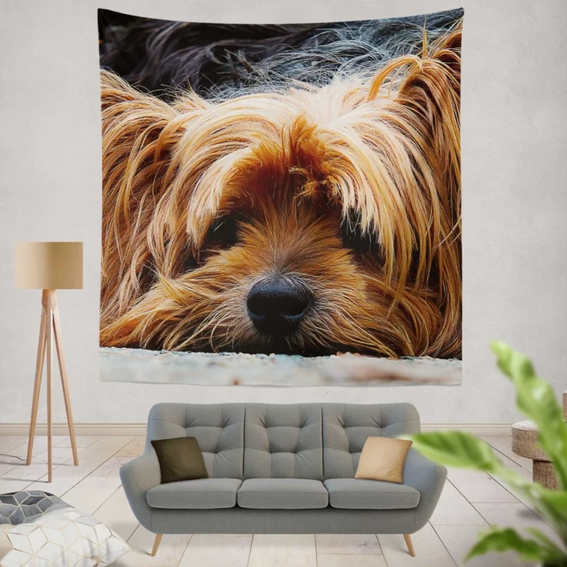 Yorkshire Terrier Adorable Charm Wall Hanging Tapestry